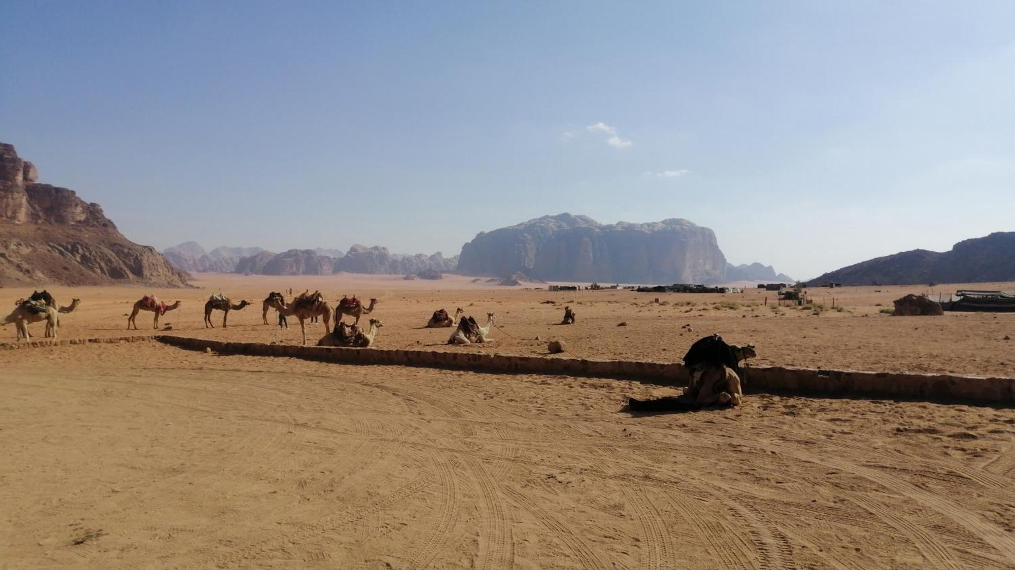 Hotel Omar Ghazi Camp Wadi Rum Zewnętrze zdjęcie