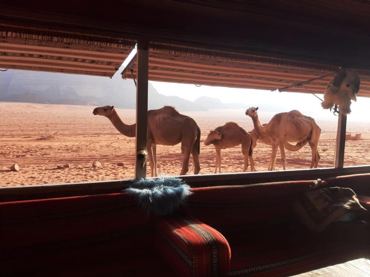 Hotel Omar Ghazi Camp Wadi Rum Zewnętrze zdjęcie