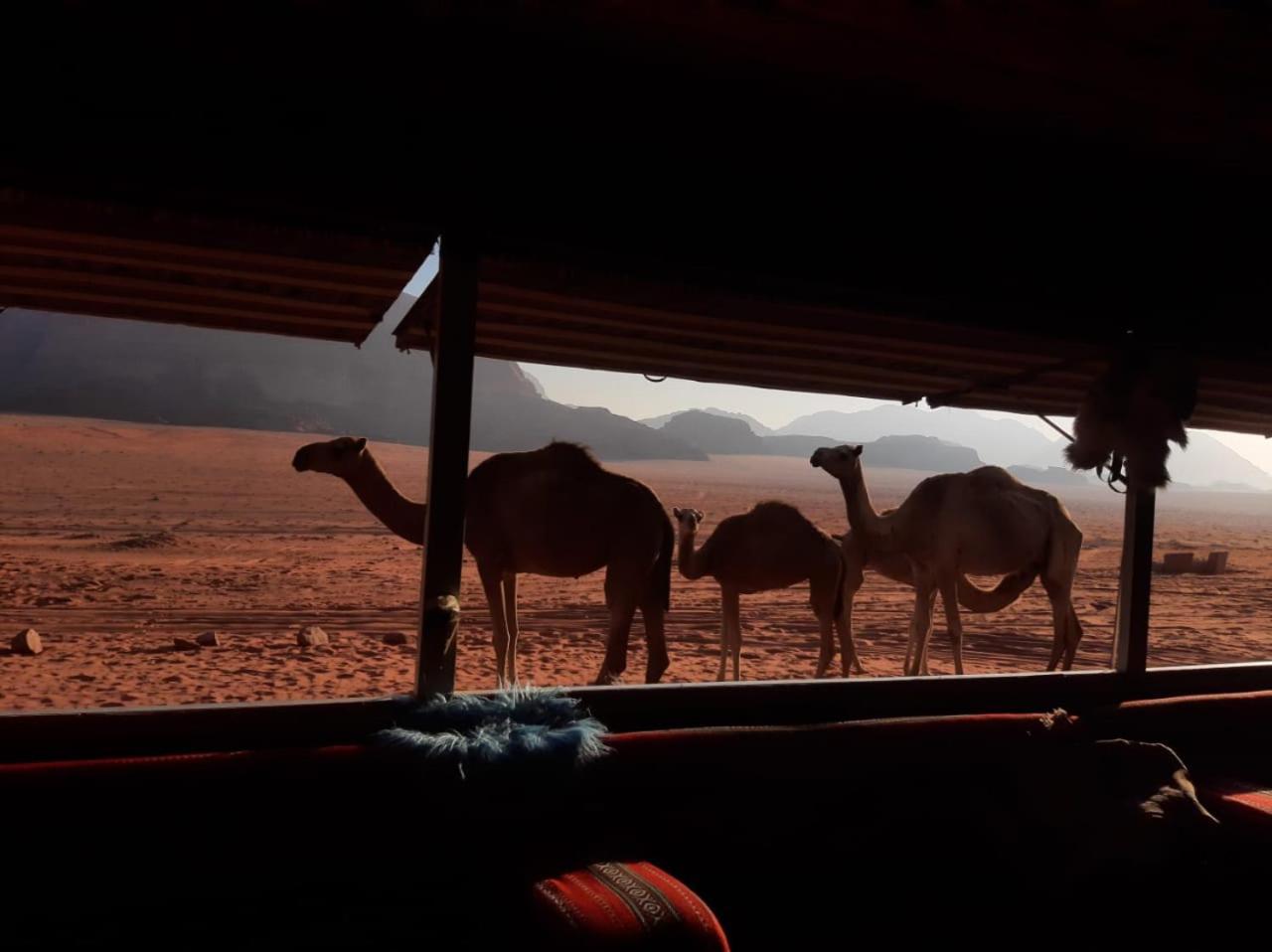 Hotel Omar Ghazi Camp Wadi Rum Zewnętrze zdjęcie